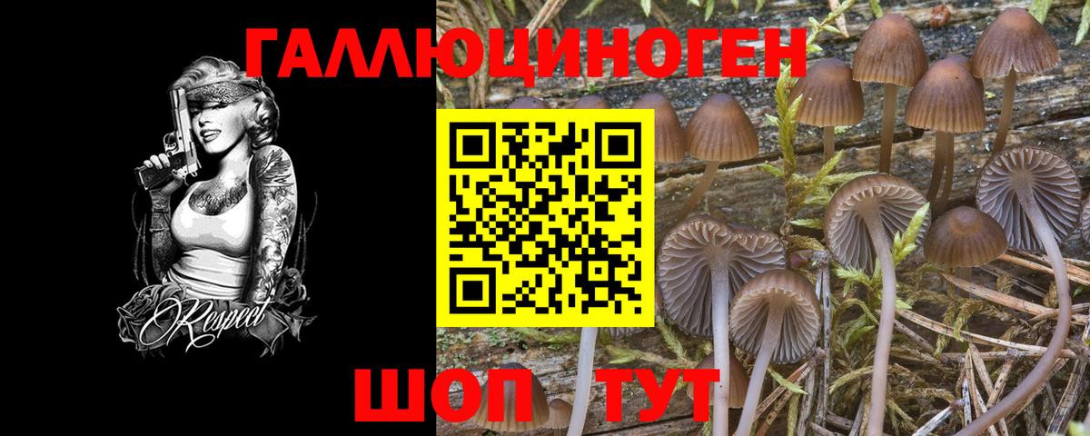 Галлюциногенные грибы Psilocybe  Псилоцибиновые грибы мицелий  Калуга  Вход с VPN 