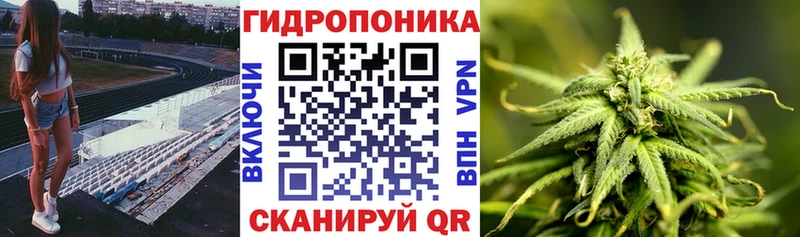 гидра зеркало  darknet клад  Бошки Шишки OG Kush  Калуга 