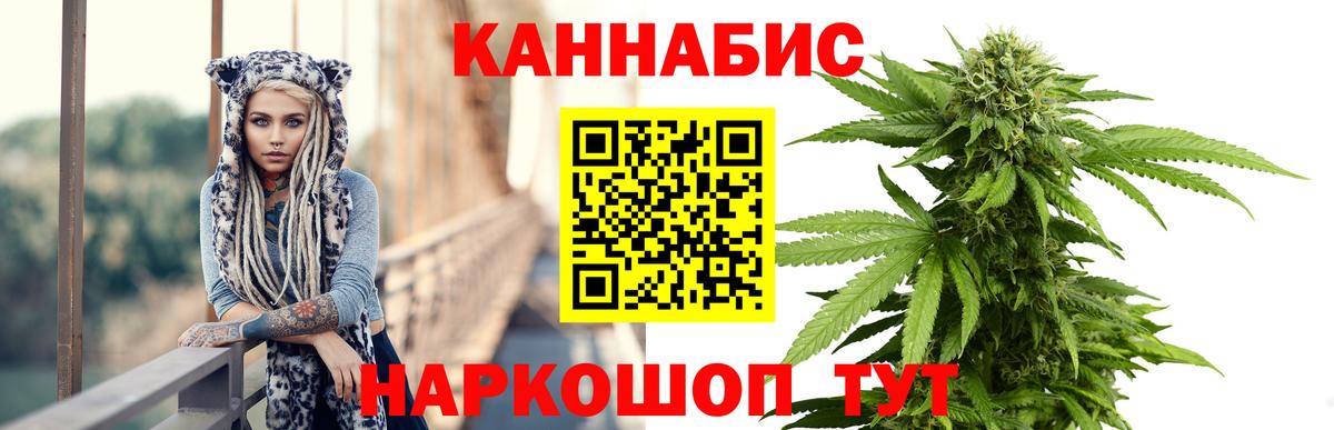 Бошки марихуана MAZAR  Марихуана сатива  Каннабис планчик  Вход с VPN  Бошки марихуана конопля  Калуга 